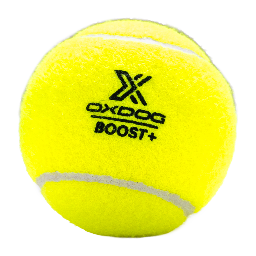 BOTE DE PELOTAS BOOST+ (x3)